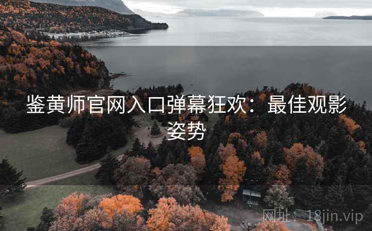 鉴黄师官网入口弹幕狂欢：最佳观影姿势